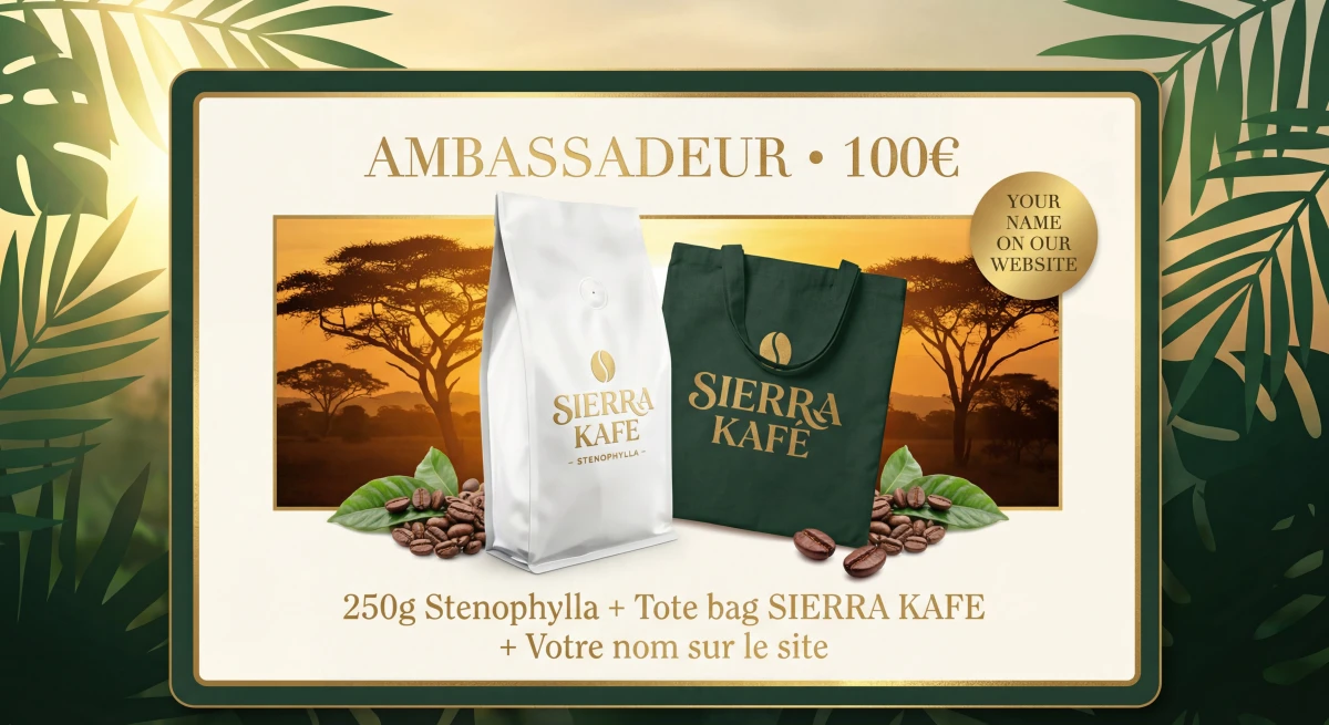 AMBASSADEUR
