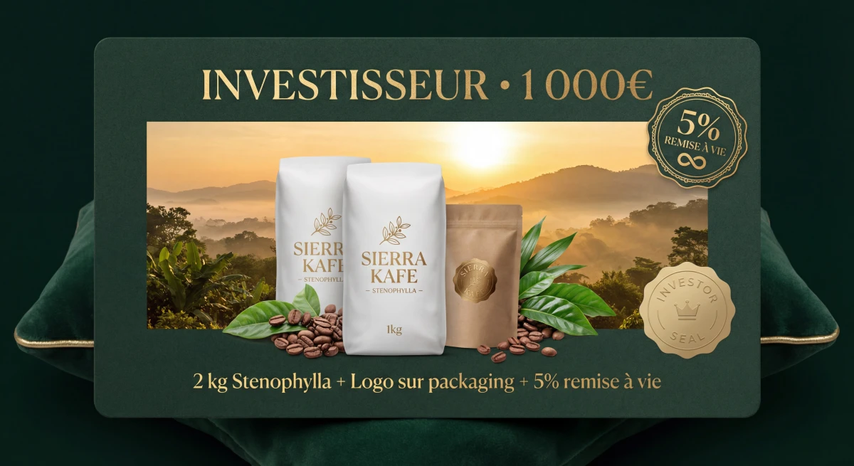 . INVESTISSEUR