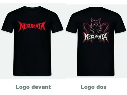 T-shirt recto/verso + CD ou Clé USB + dédicace + votre nom dans le livret + affiche