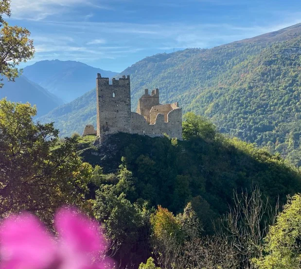 cagnotte patrimoine