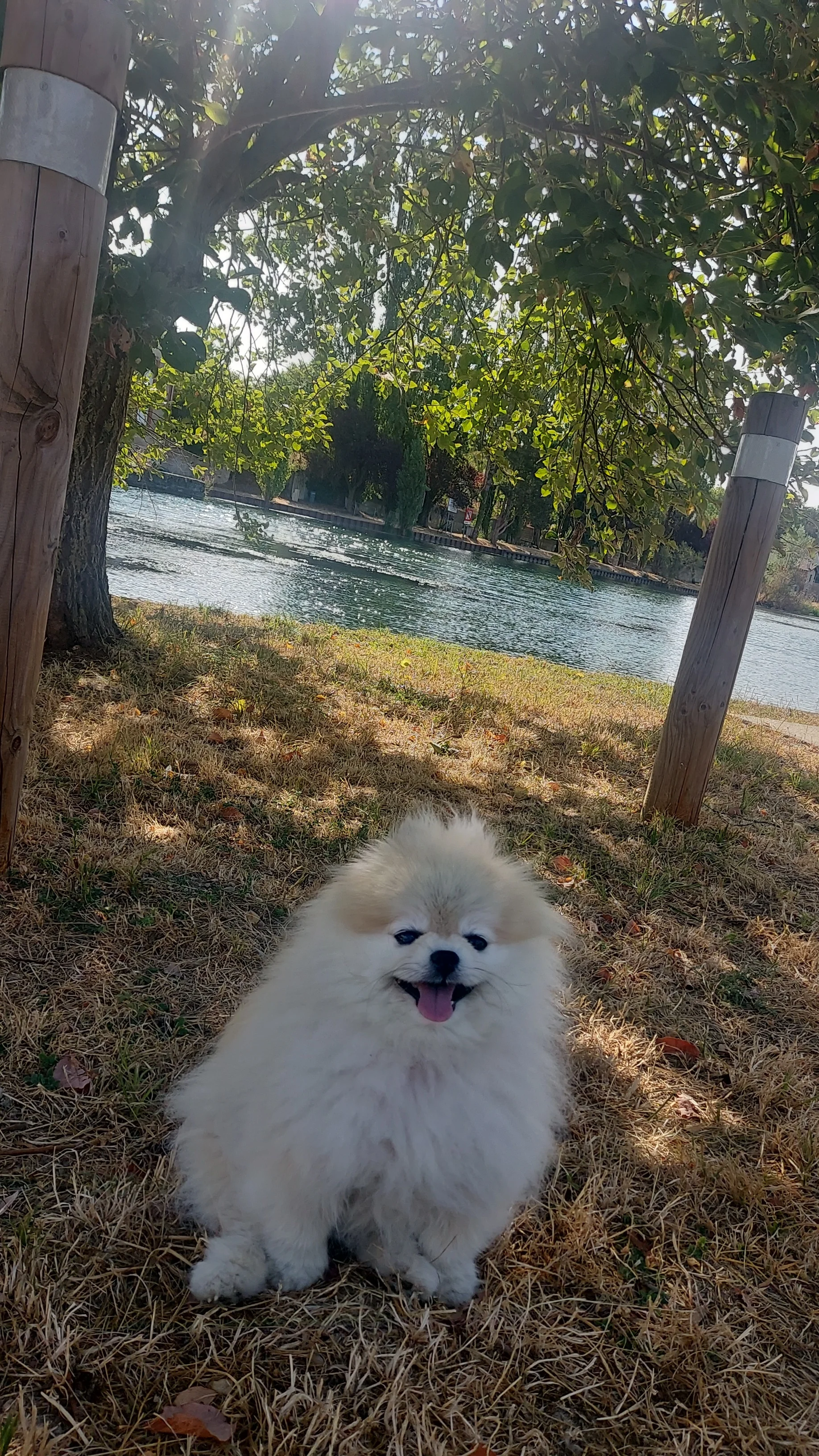 cagnotte voyage