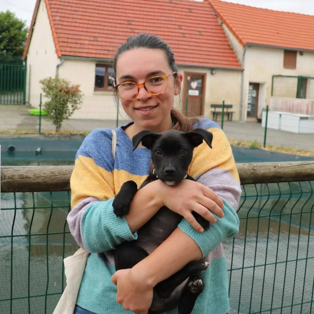 cagnotte cause animale