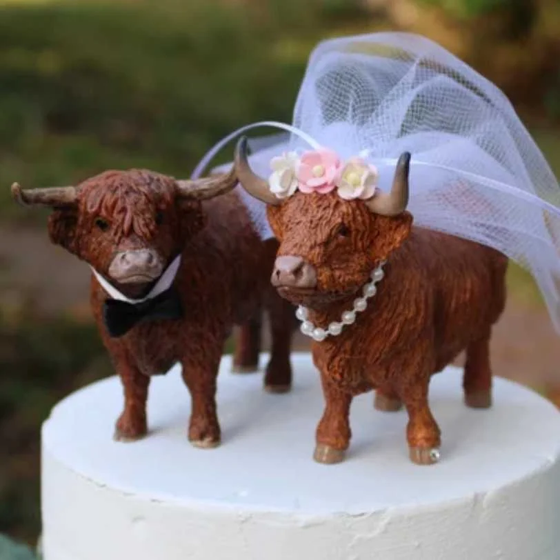 cagnotte mariage