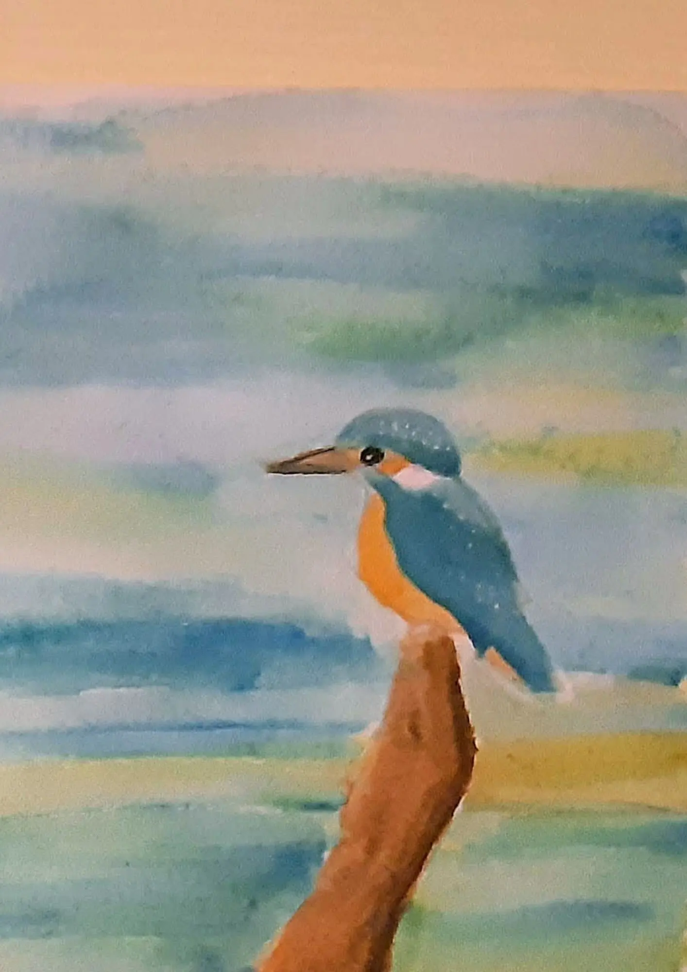 Ilustration
