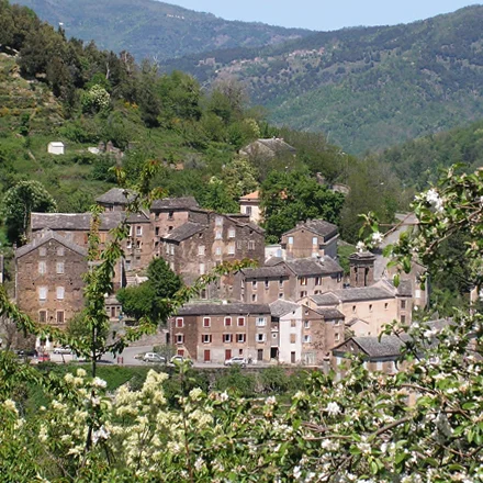 cagnotte culture