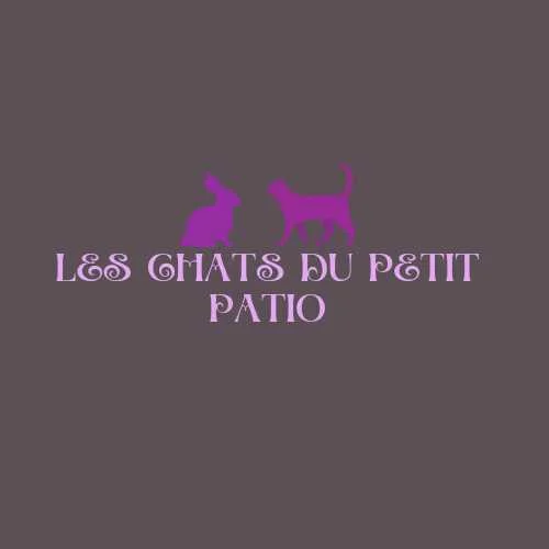 cagnotte cause animale