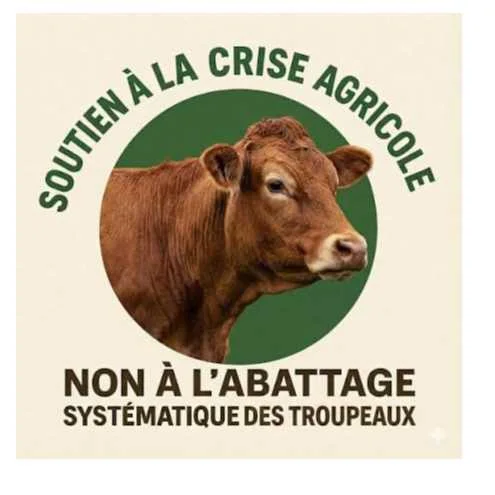 cagnotte solidarité