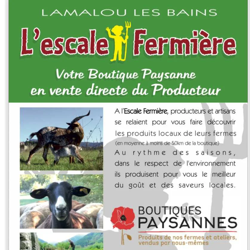 cagnotte naissance