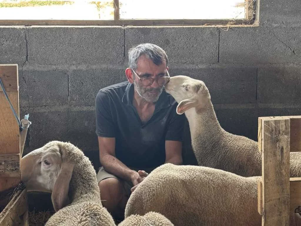 cagnotte solidarité