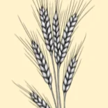 cagnotte obsèques