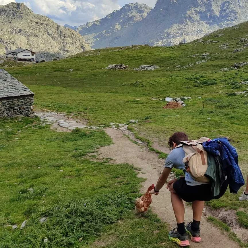 cagnotte diplôme