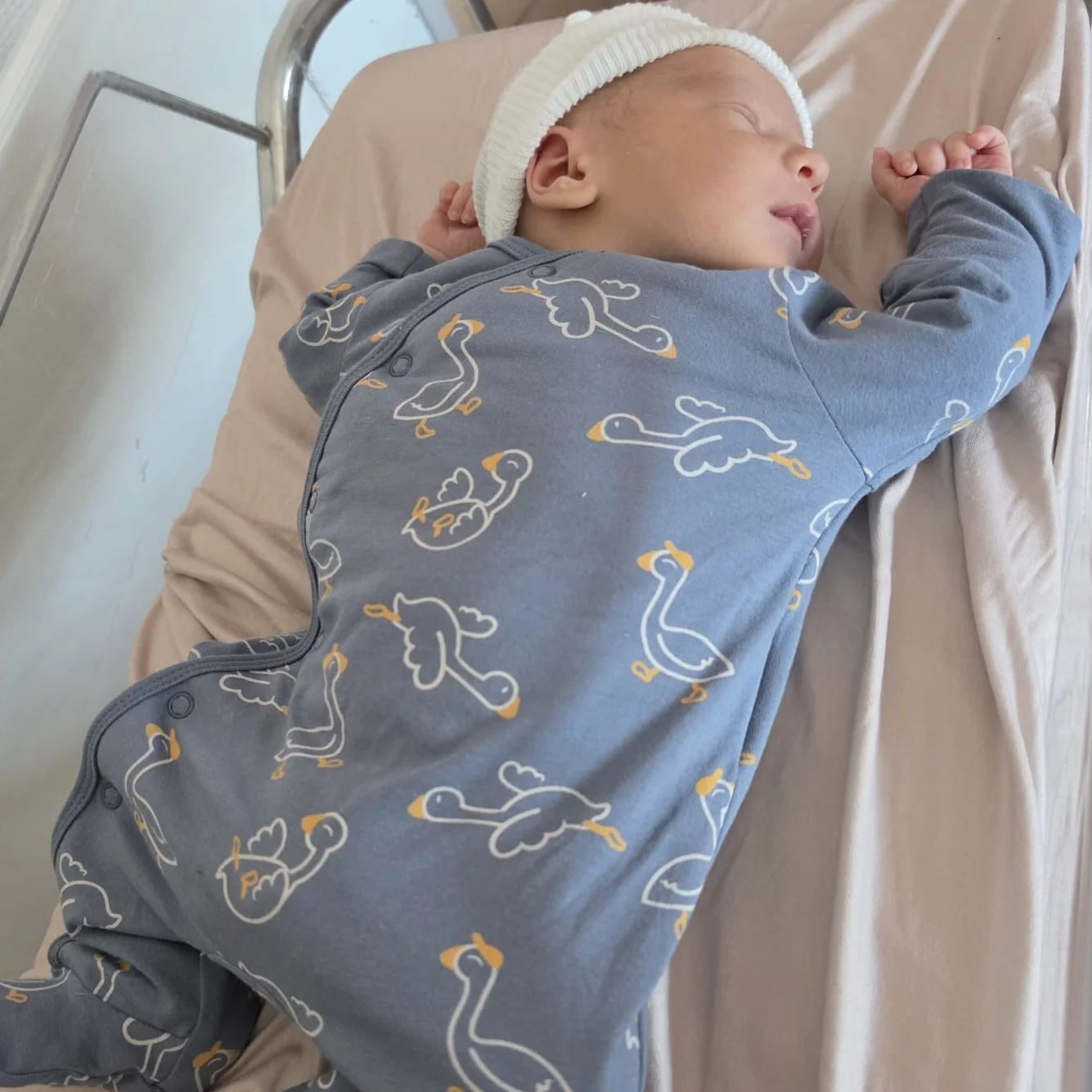 cagnotte naissance