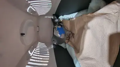 6adbca4d64e89.webp