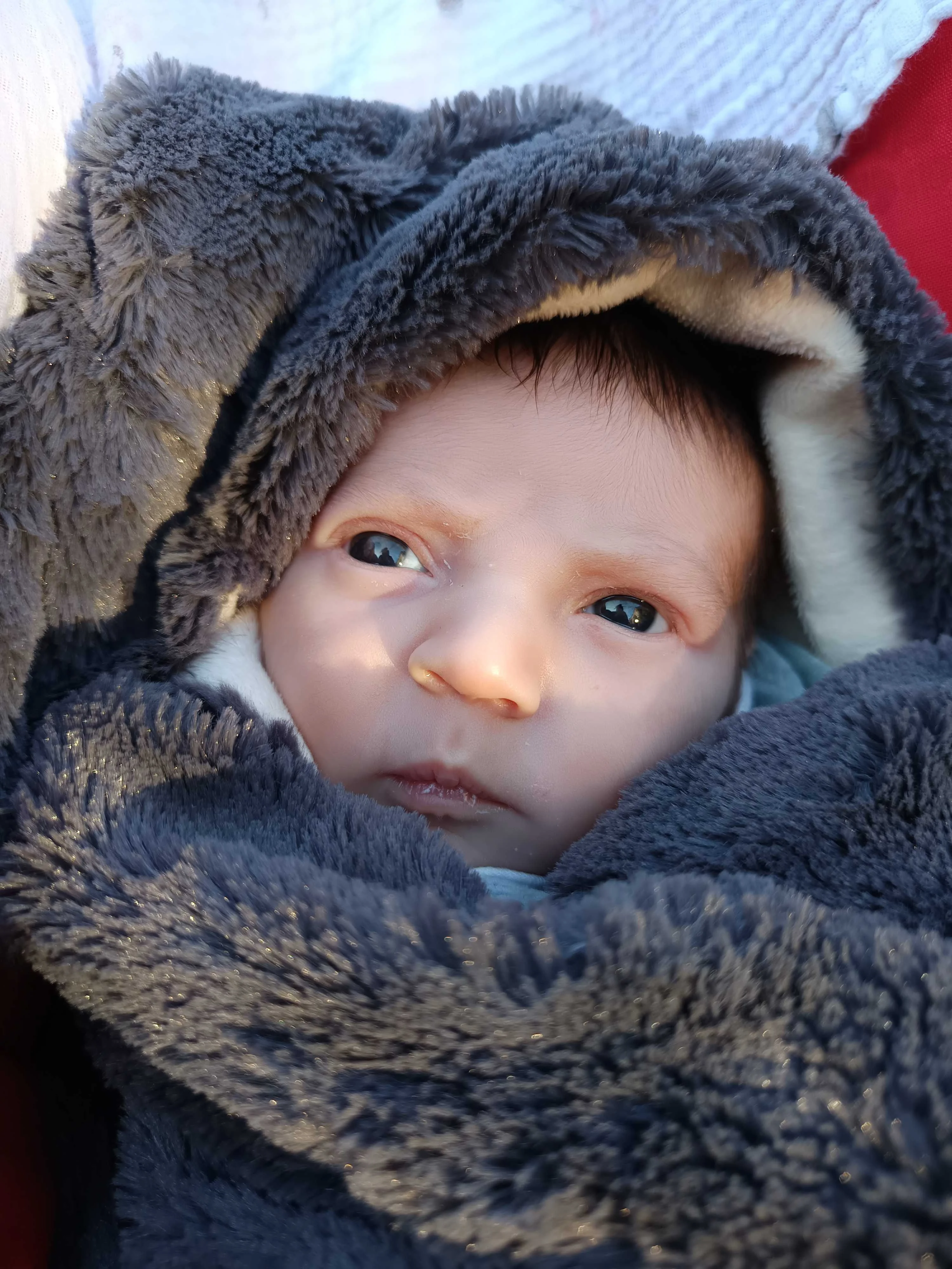 cagnotte naissance