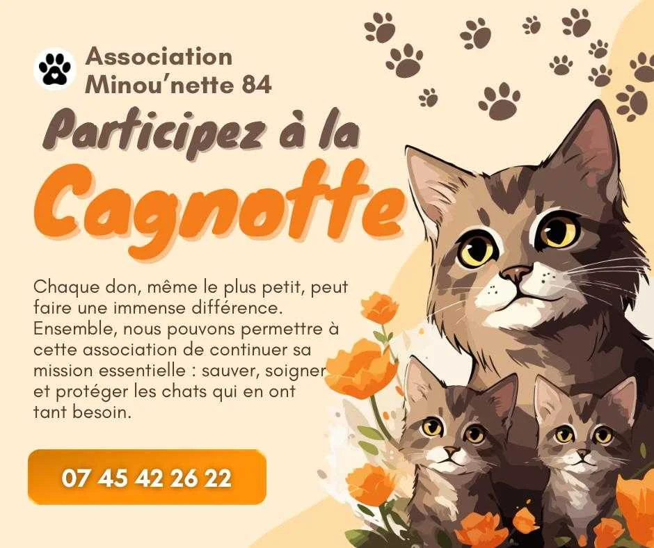 cagnotte cause animale