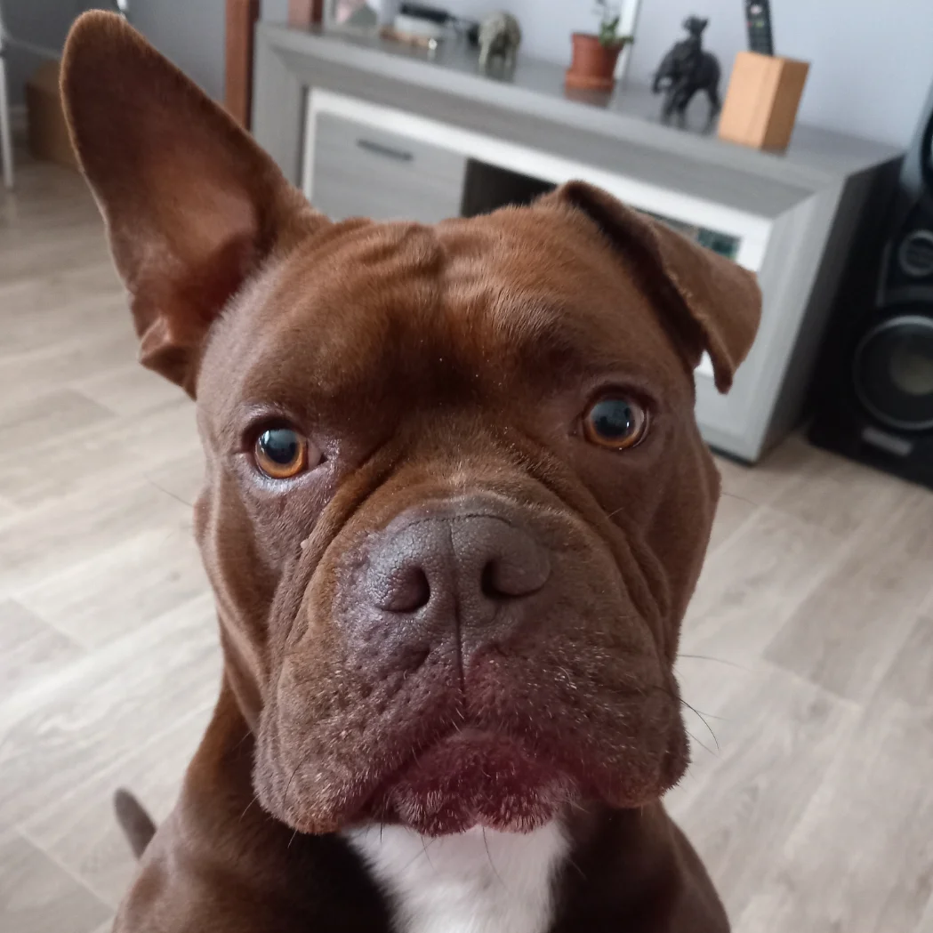 cagnotte autre