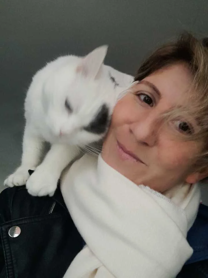 cagnotte cause animale