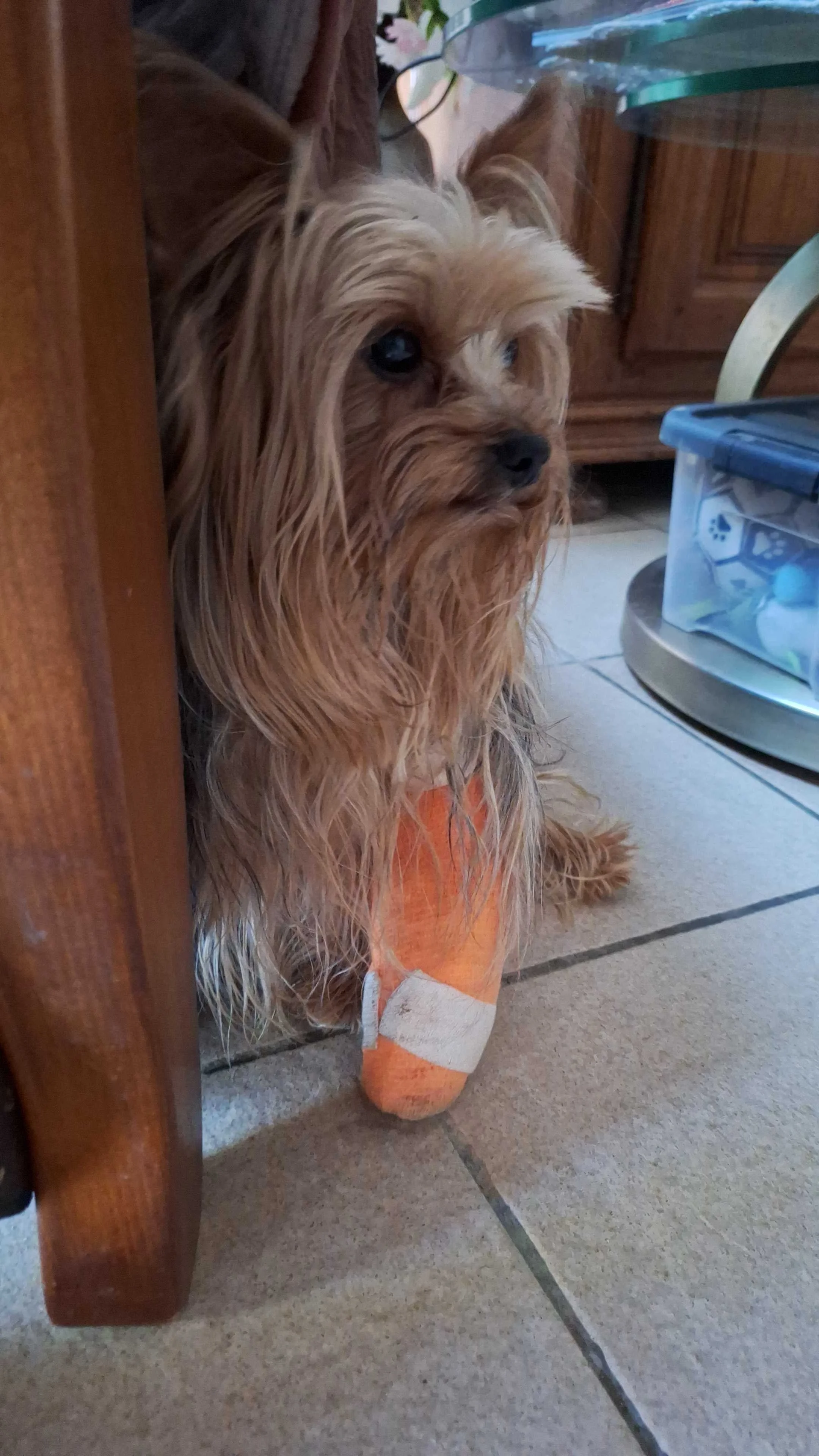 cagnotte santé
