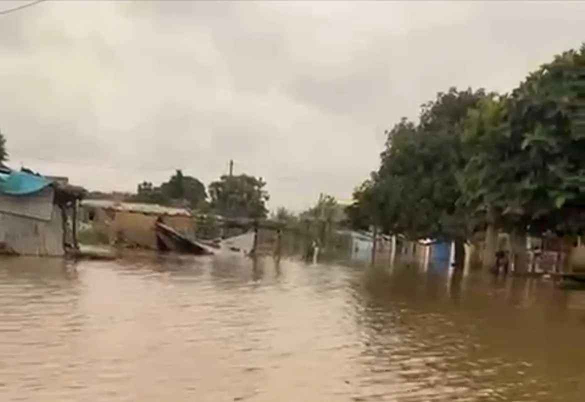 cagnotte humanitaire
