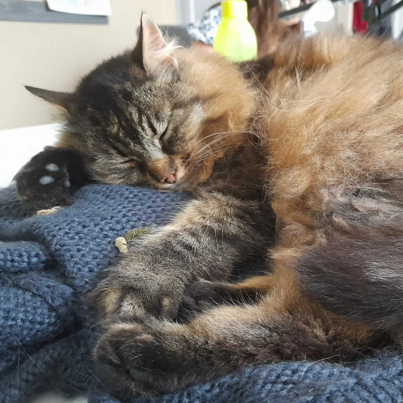 cagnotte pourboire