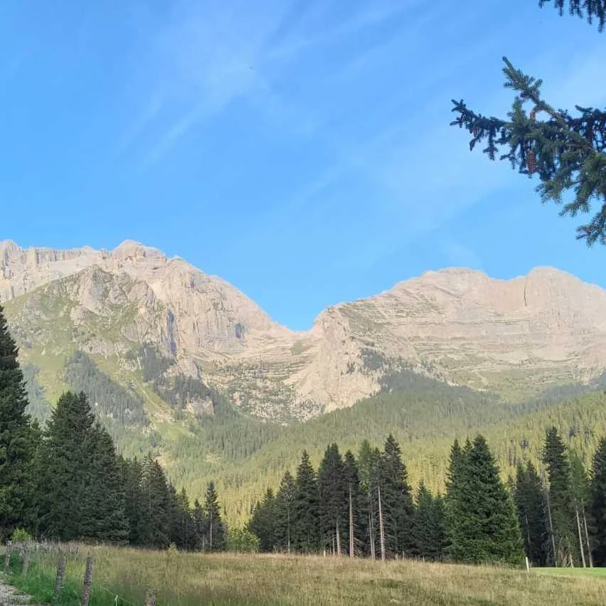 cagnotte pot de départ