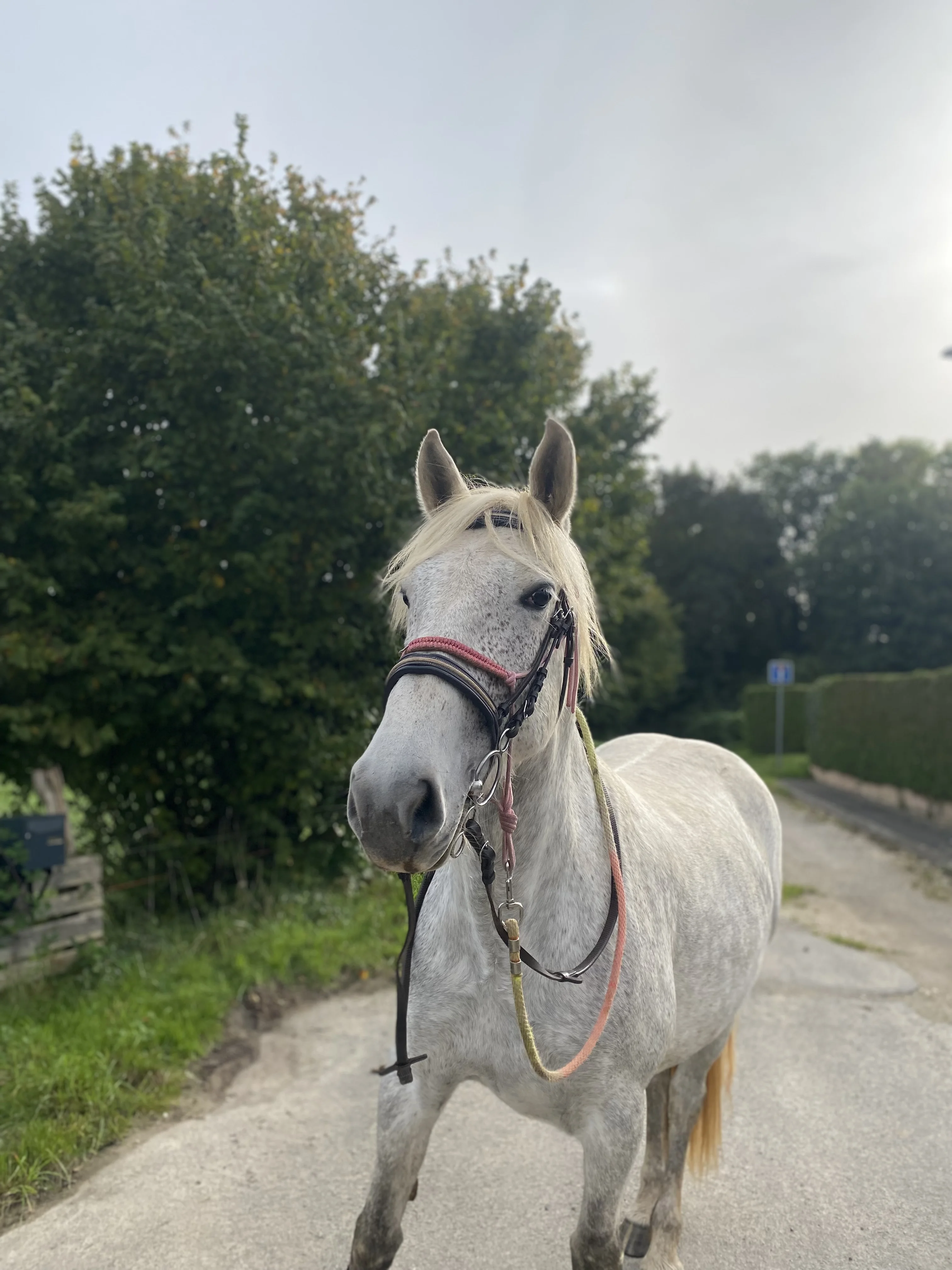 cagnotte autre