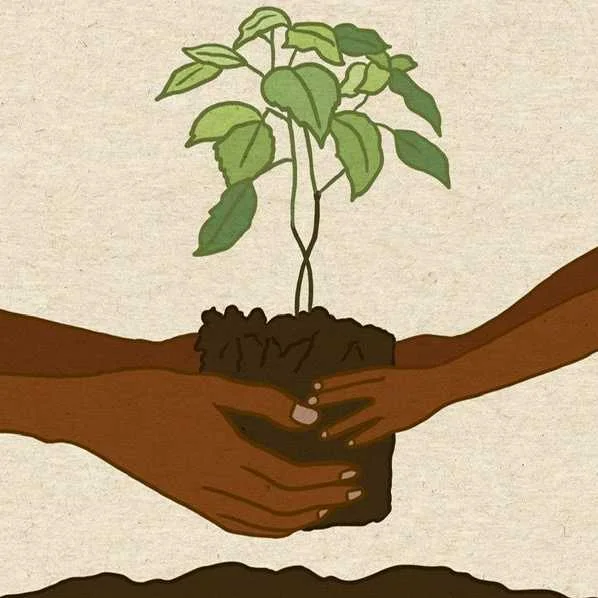 cagnotte solidarité