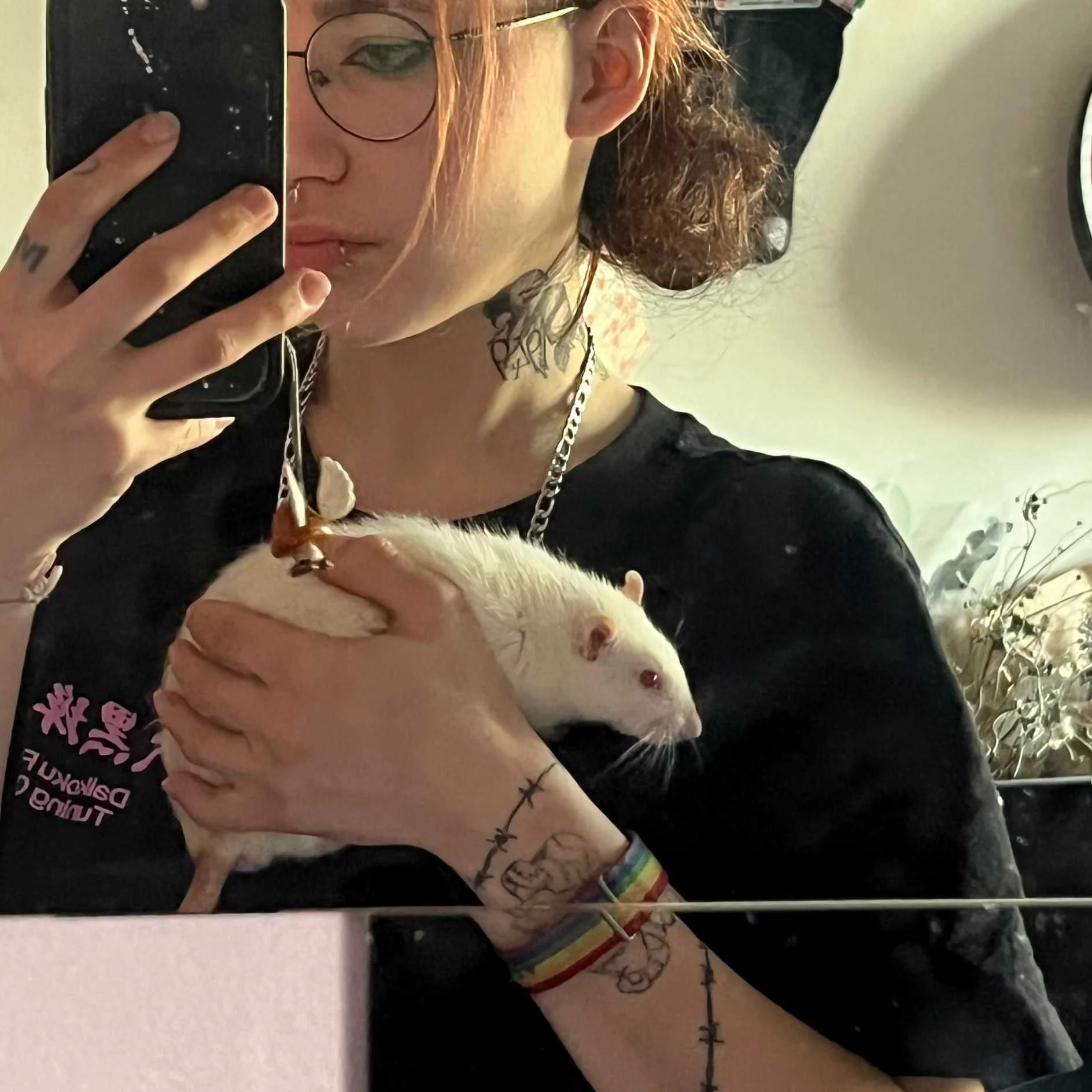 cagnotte cause animale