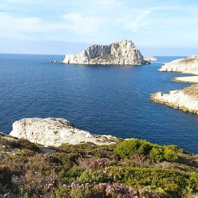 cagnotte pot de départ