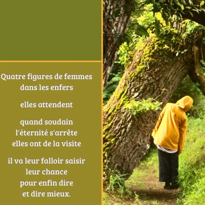 cagnotte culture