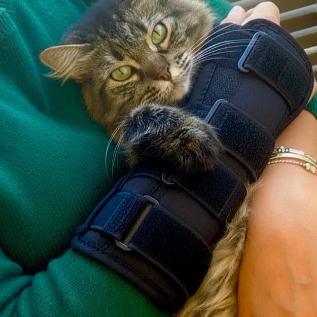 cagnotte solidarité