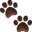 🐾