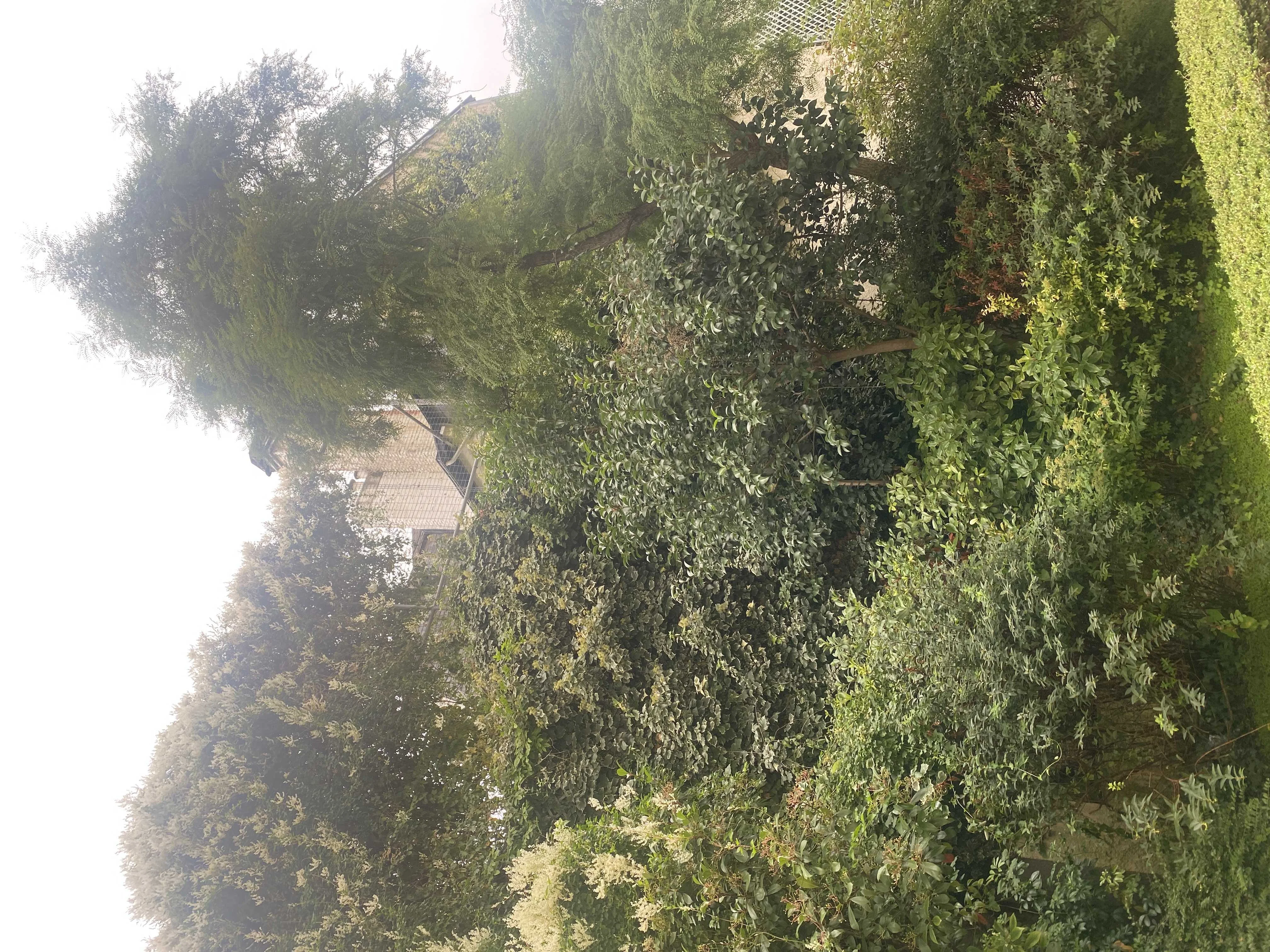 cagnotte pot de départ