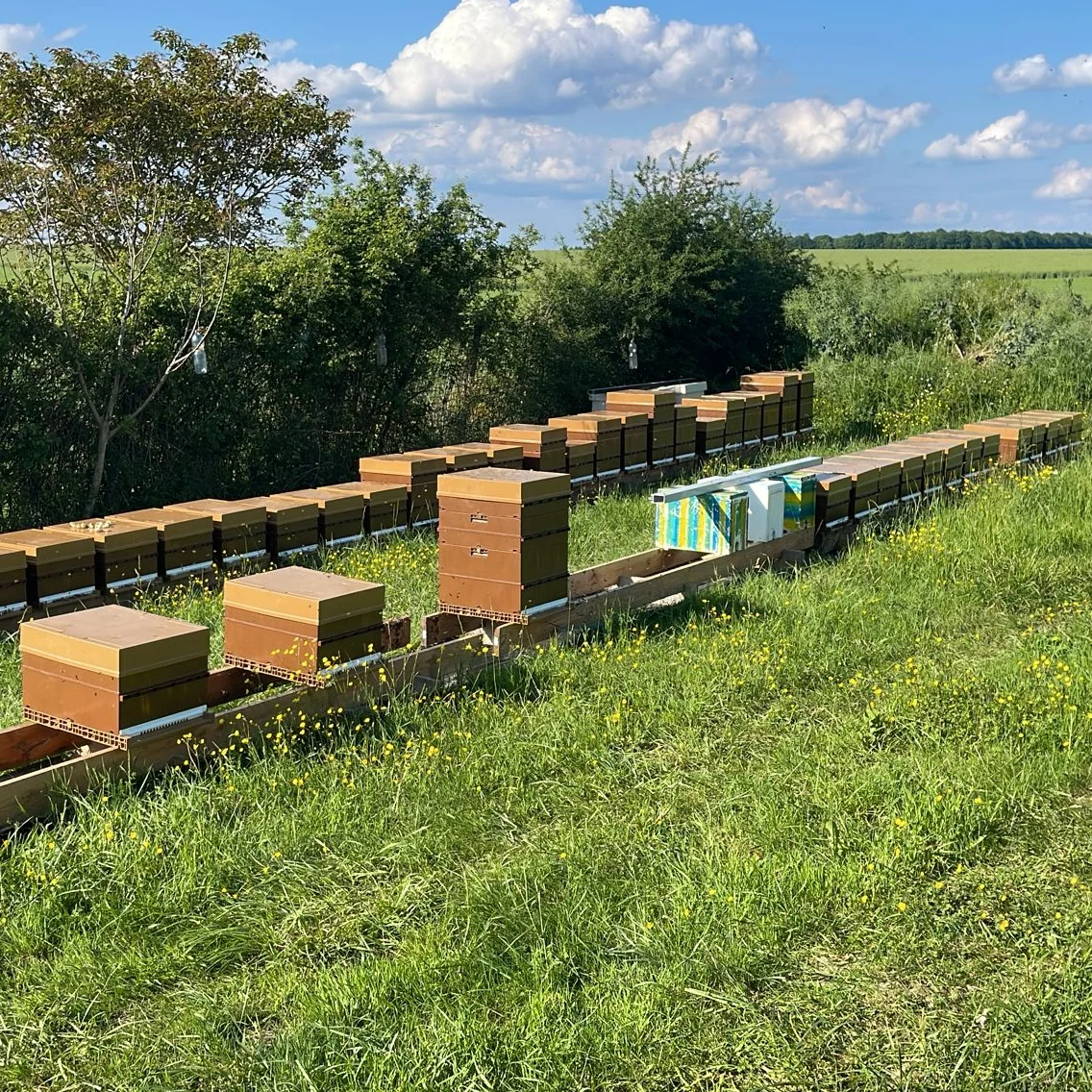 cagnotte agriculture