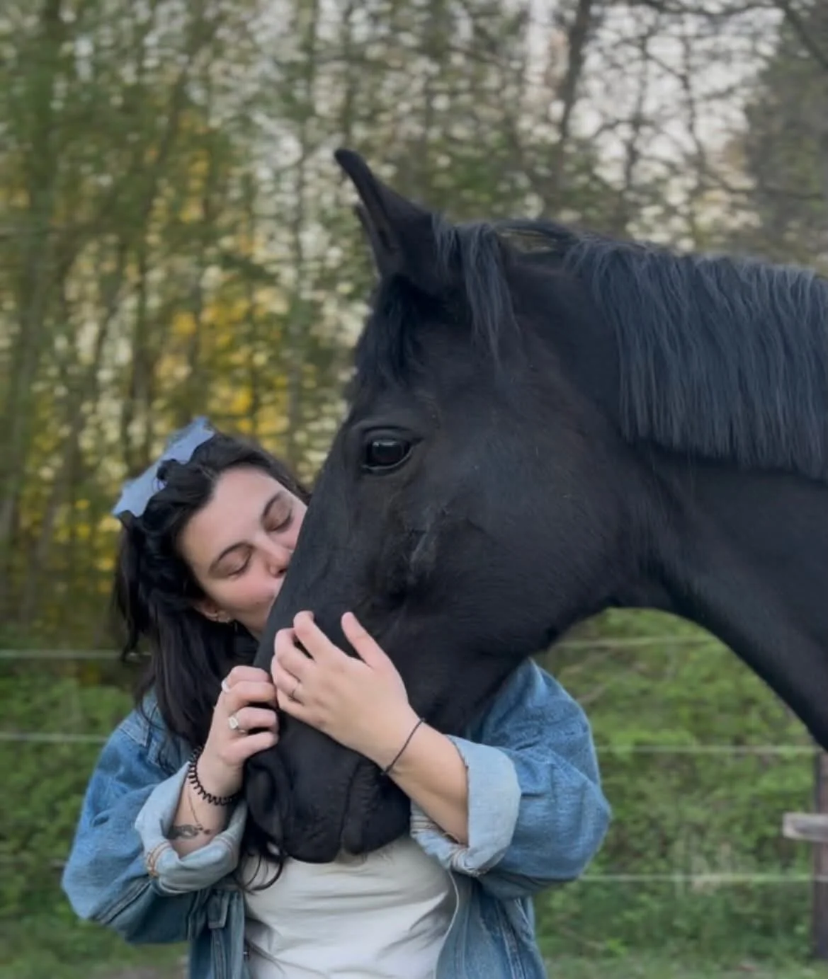 cagnotte cause animale