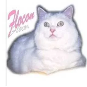 cagnotte cause animale