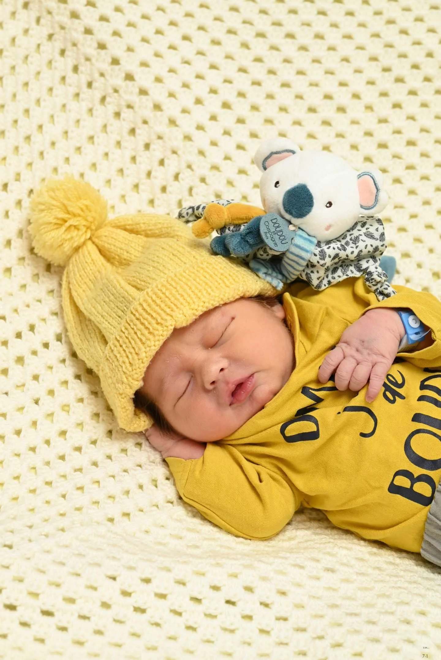 cagnotte naissance