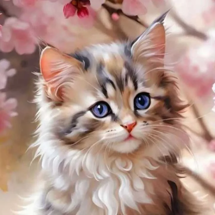 cagnotte cause animale