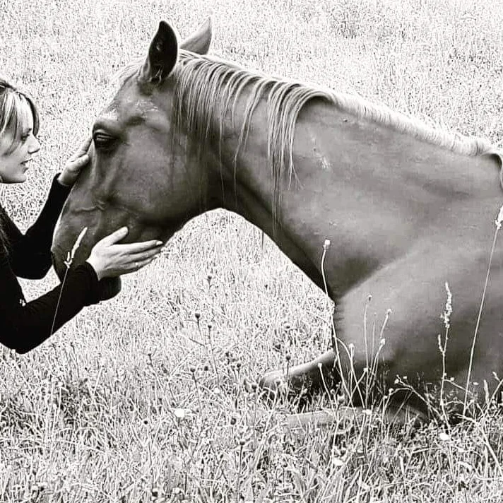 cagnotte cause animale