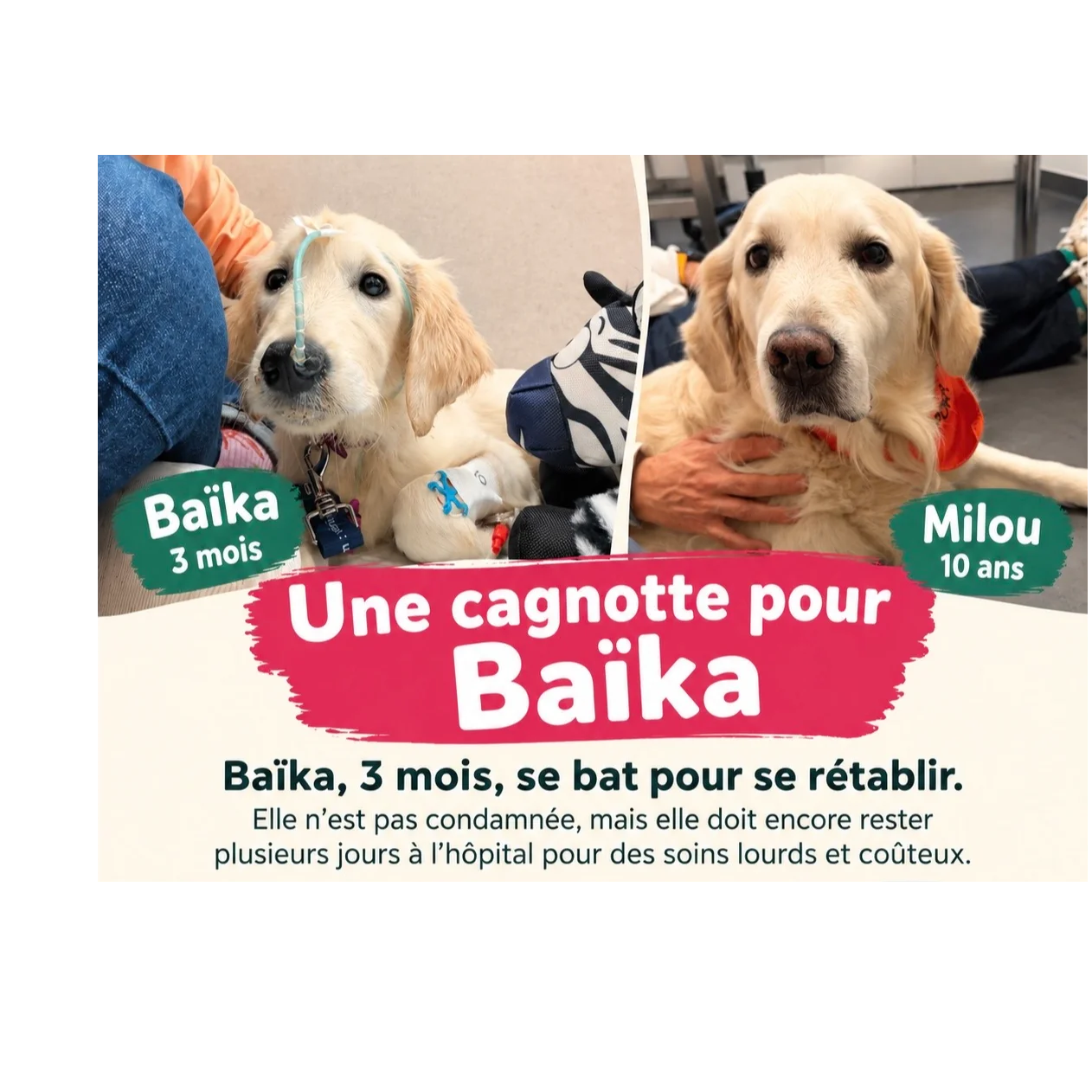 cagnotte santé