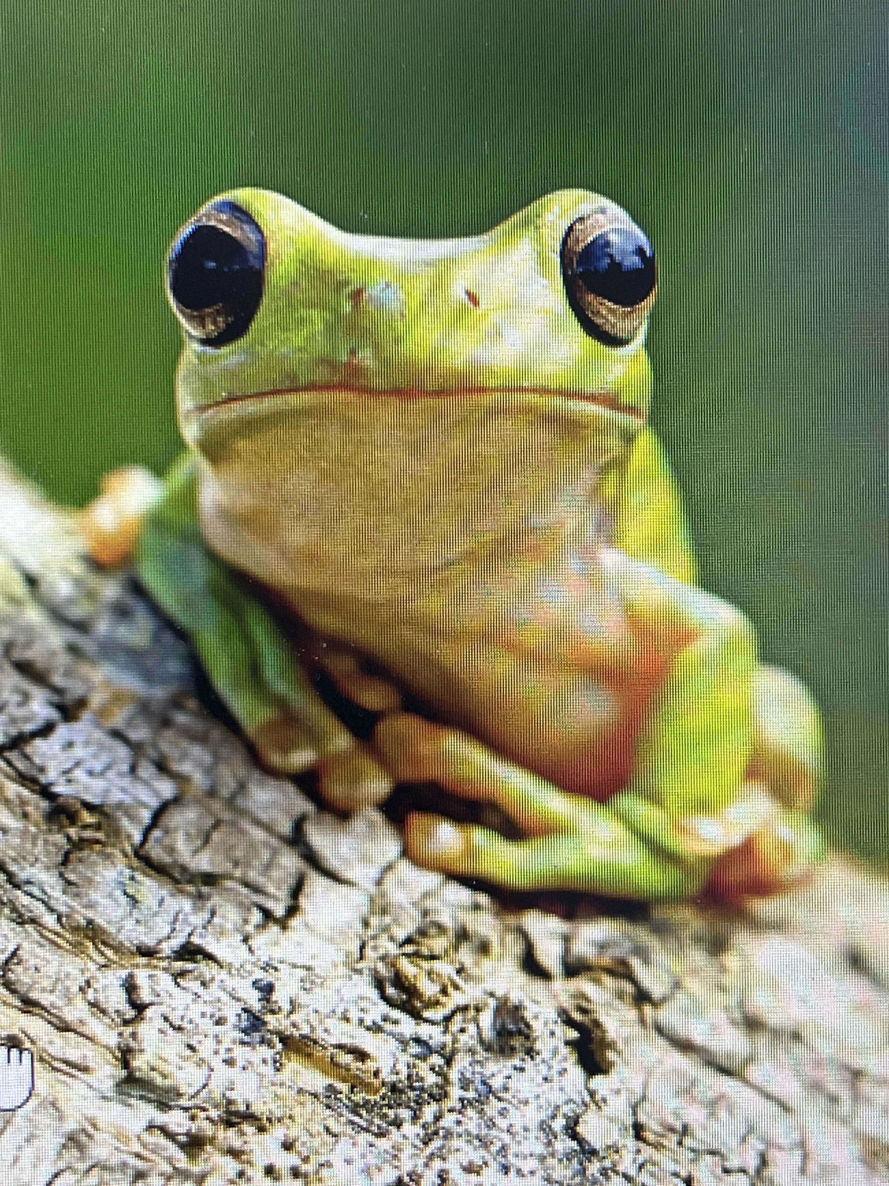 cagnotte pot de départ