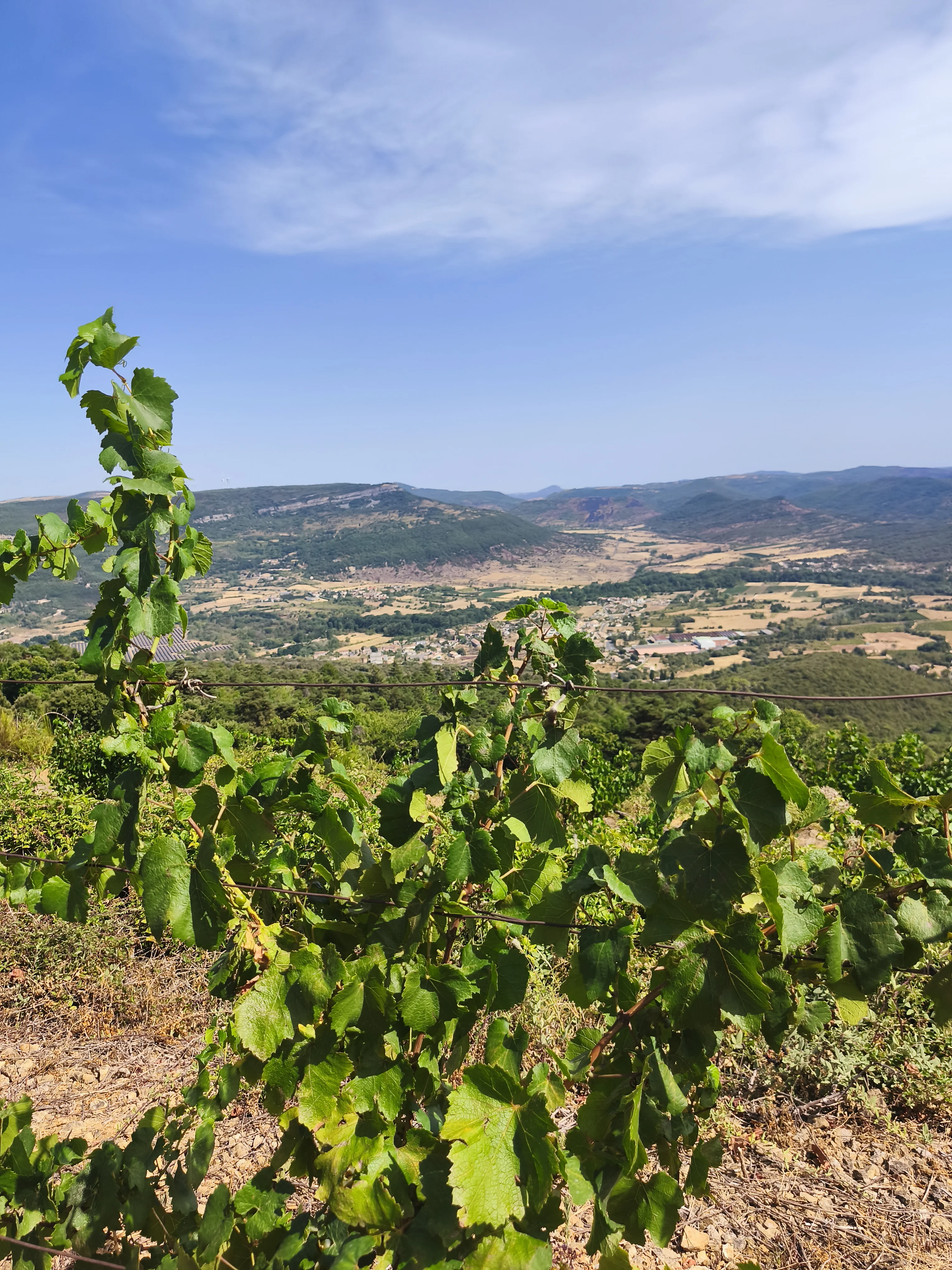cagnotte agriculture