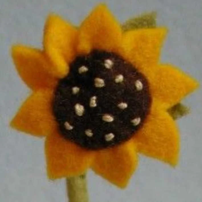 cagnotte pot de départ