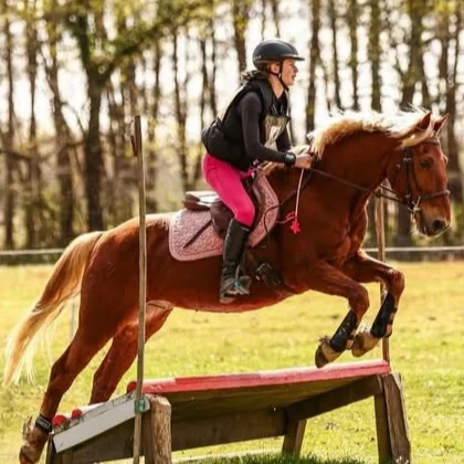 cagnotte sport