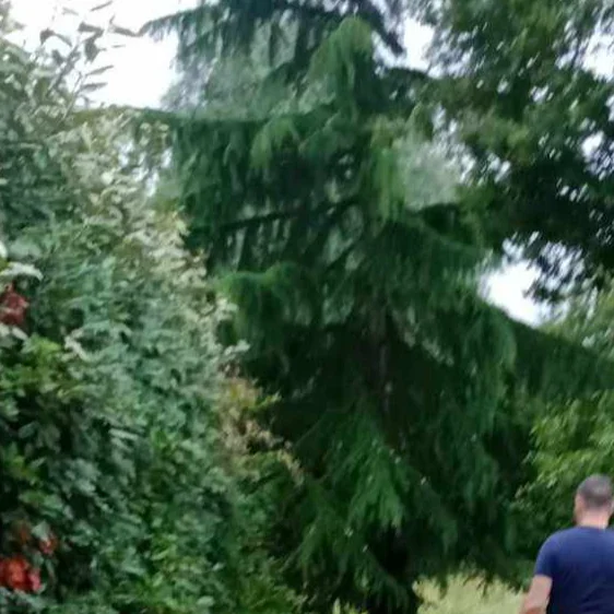 cagnotte santé