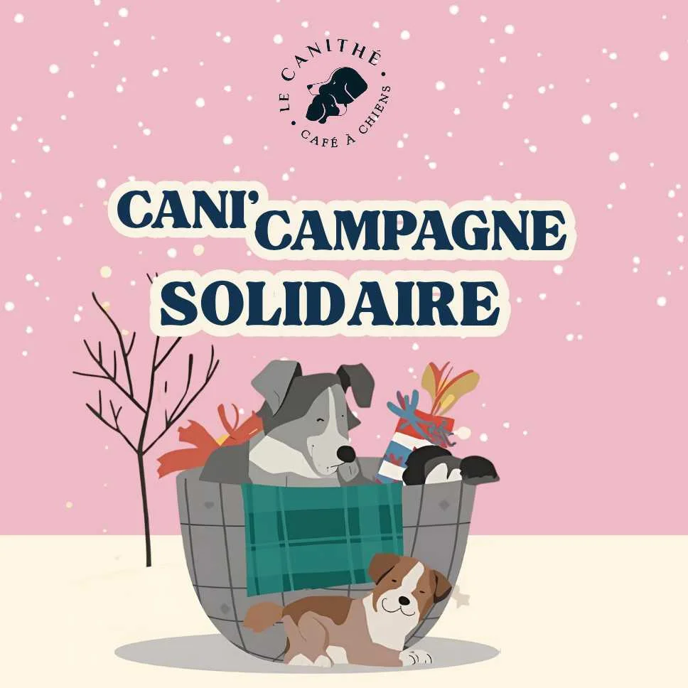 cagnotte cause animale