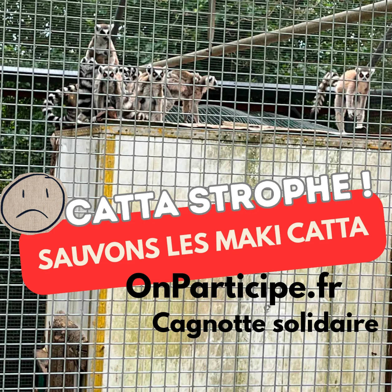 cagnotte cause animale