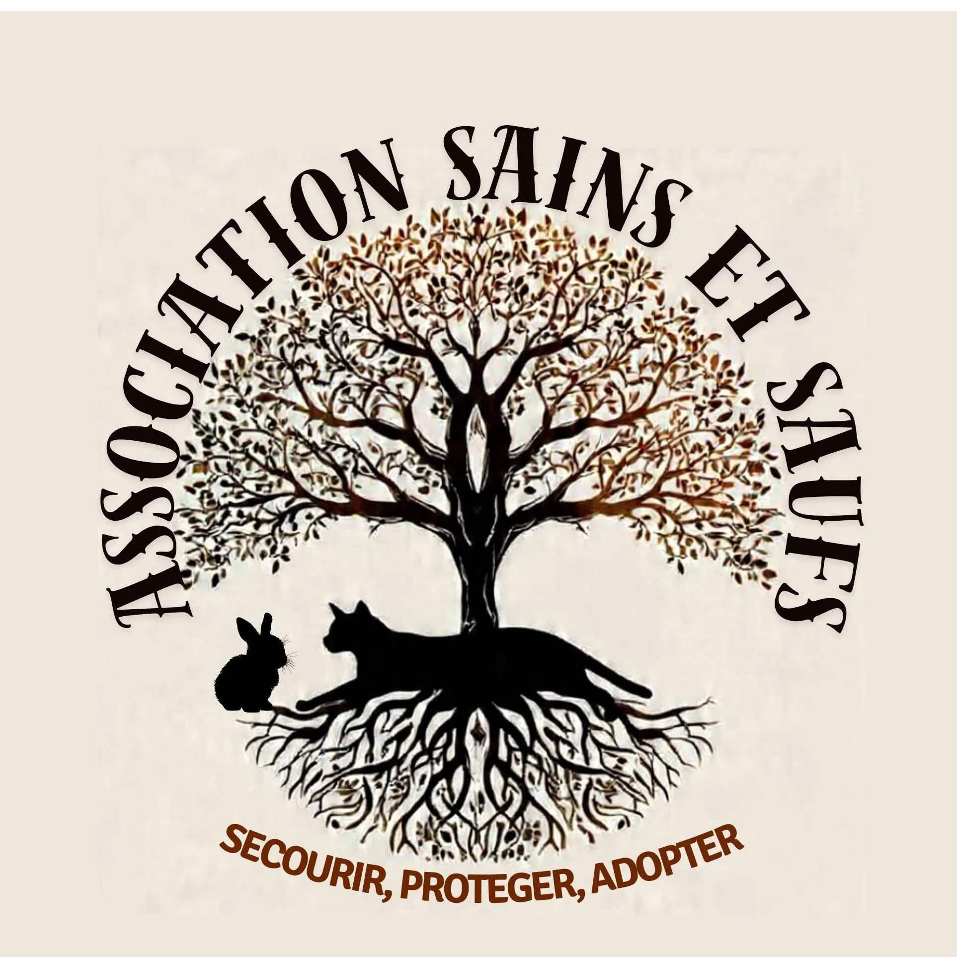 cagnotte association