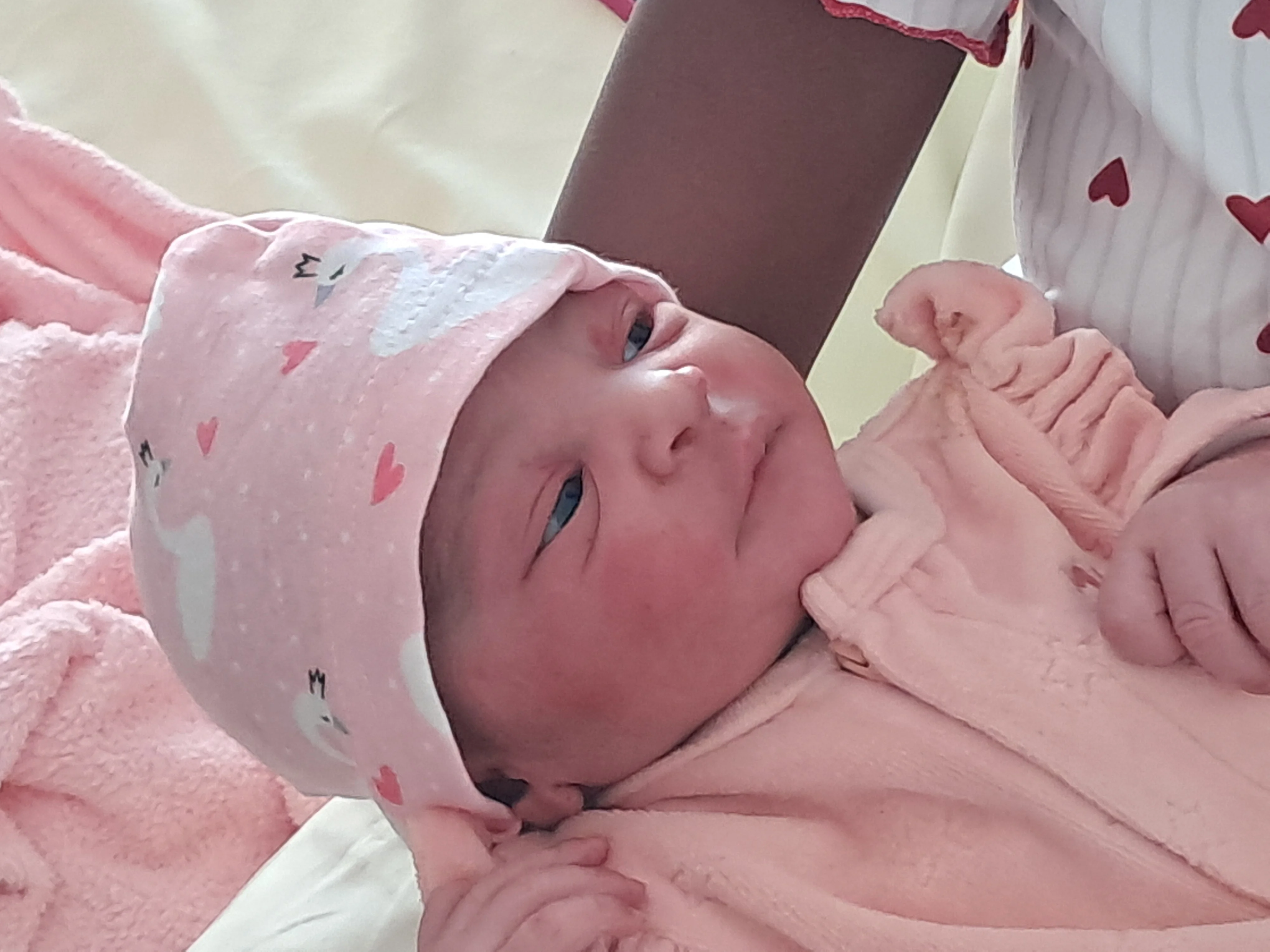 cagnotte naissance