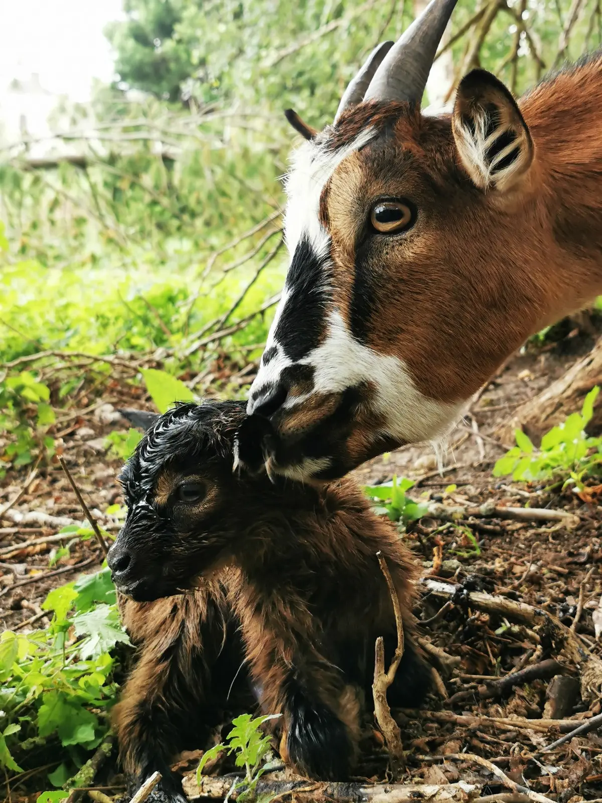 La demi journée en Famille